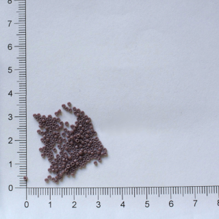 Toho 15/0 Opaque Lavender 5g