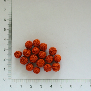 Rudraksha 8mm 